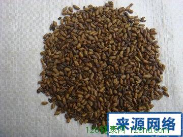 决明子的功效 决明子的食疗作用 决明子泡茶