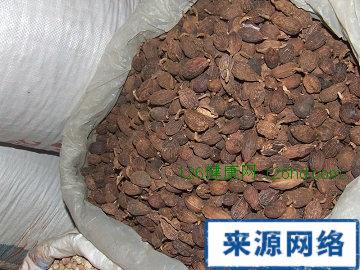 草果的功效与作用全析