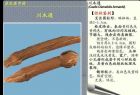 川木通图片3