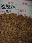 益智图片12