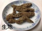 生地黄图片6