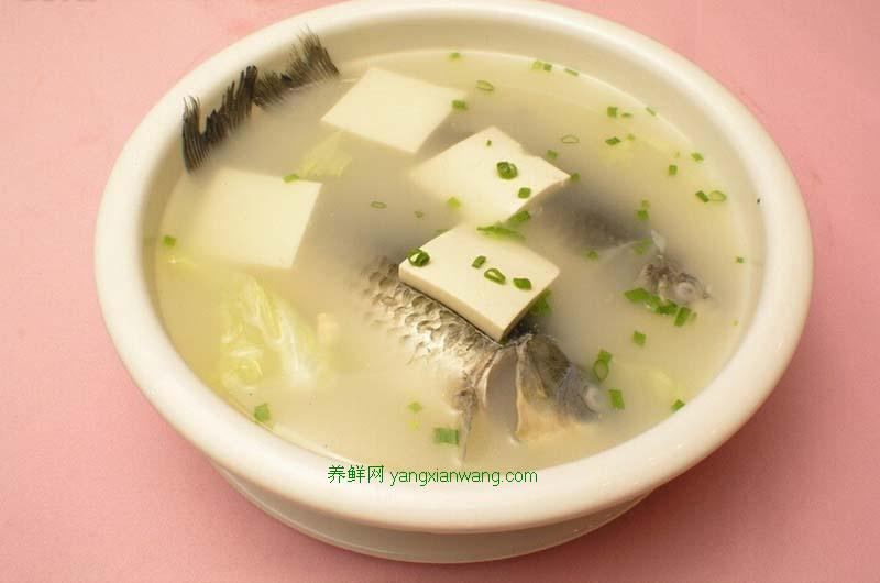 鲫鱼炖豆腐1