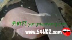 鸡肉粉的做法1