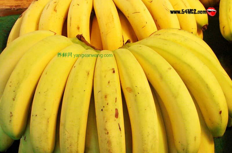 吃香蕉的好处和坏处_吃香蕉会胖吗_什么时候吃最好?