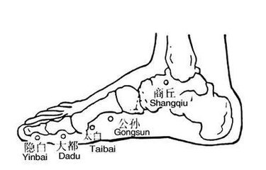 太白穴位位置图在哪里呢