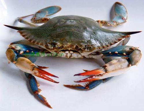 海蟹死了还能吃吗?详解海蟹死了多久不能吃?